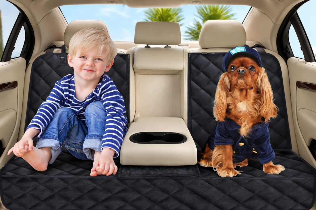 How to Choose the Best Dog Car Seat Cover (And Why Your Car Needs One)