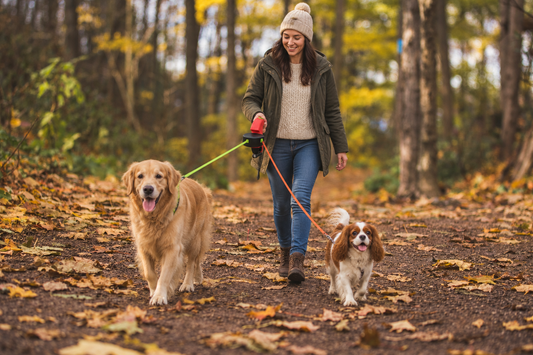 How to Choose the Best Retractable Dog Leash for Small Dogs & Cats
