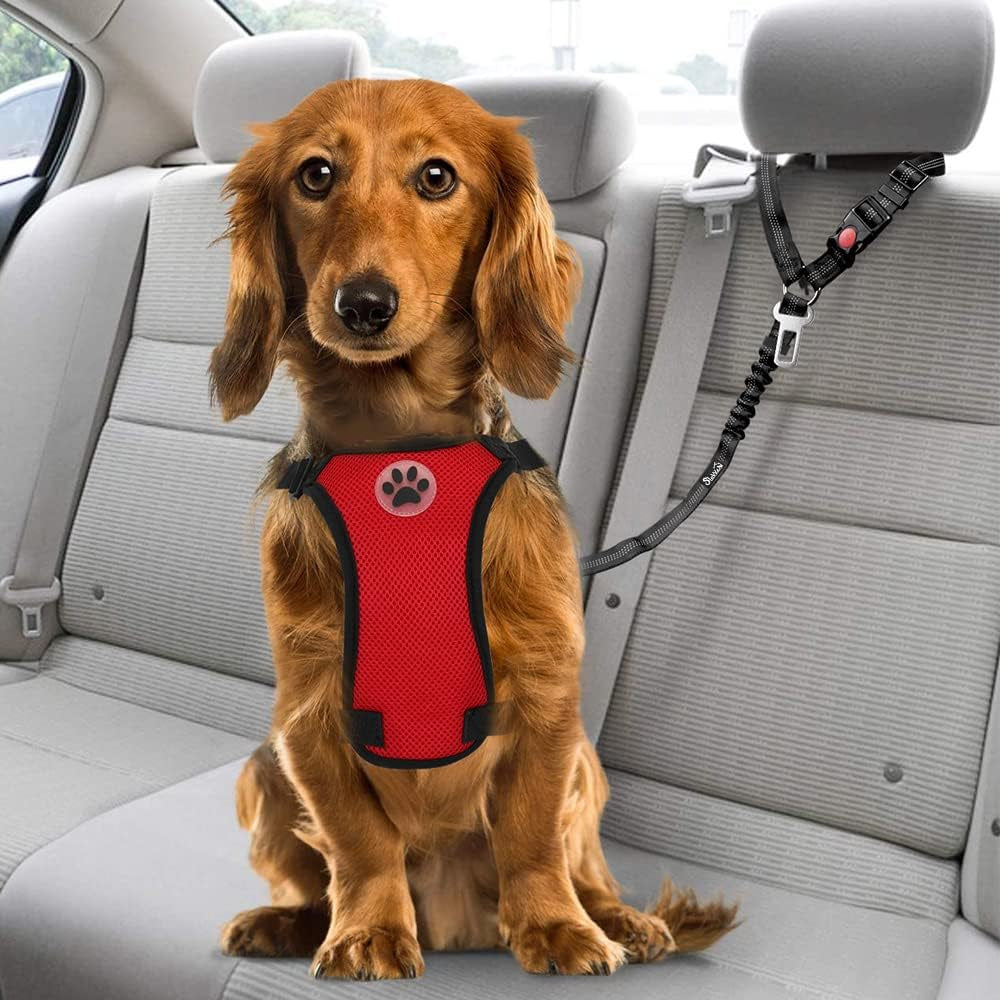 Adjustable Dog Car Seat Belt - 2 Pack with Elastic Bungee Buffer, 2-in-1 Pet Harness and Headrest Restraint, Reflective Safety Tether (Black, Headrest + Clip)