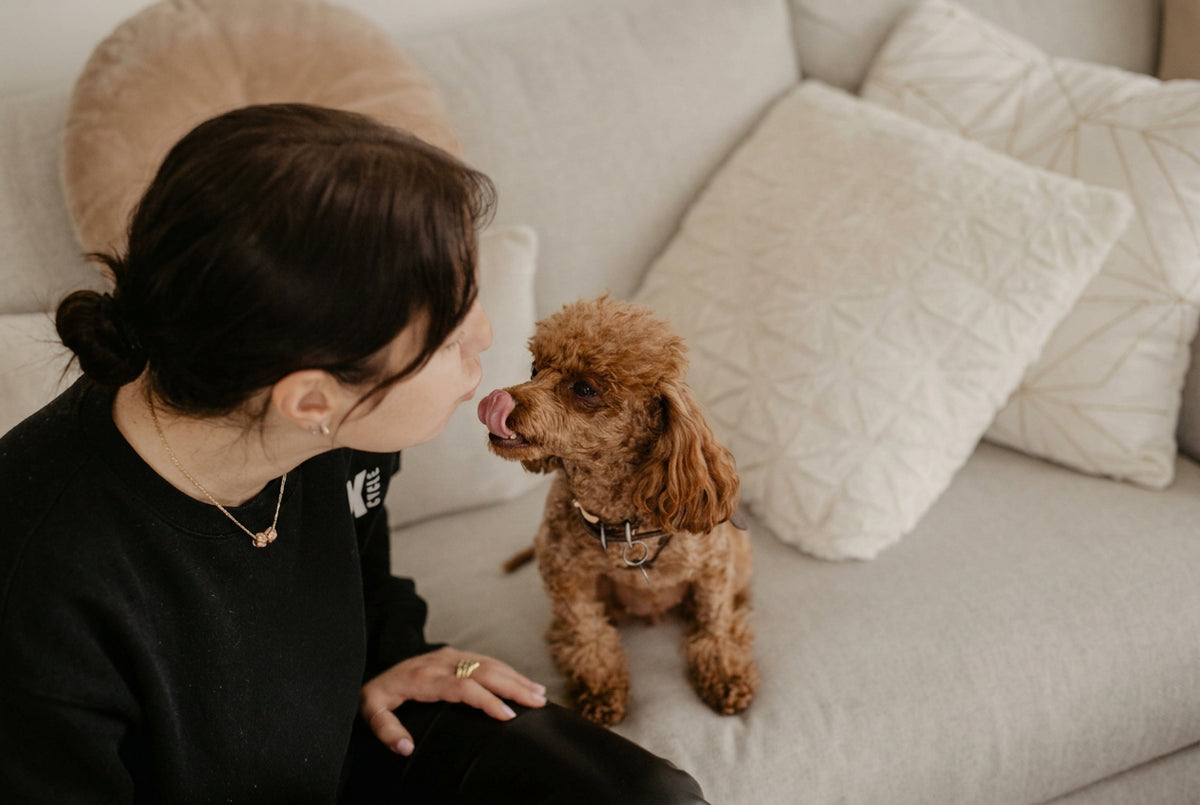 Grooming & Cleaning